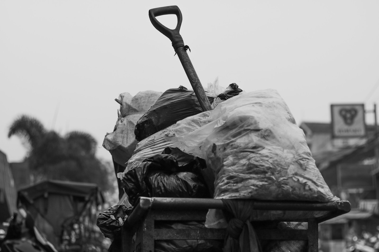 Pre-wedding Photograph 6