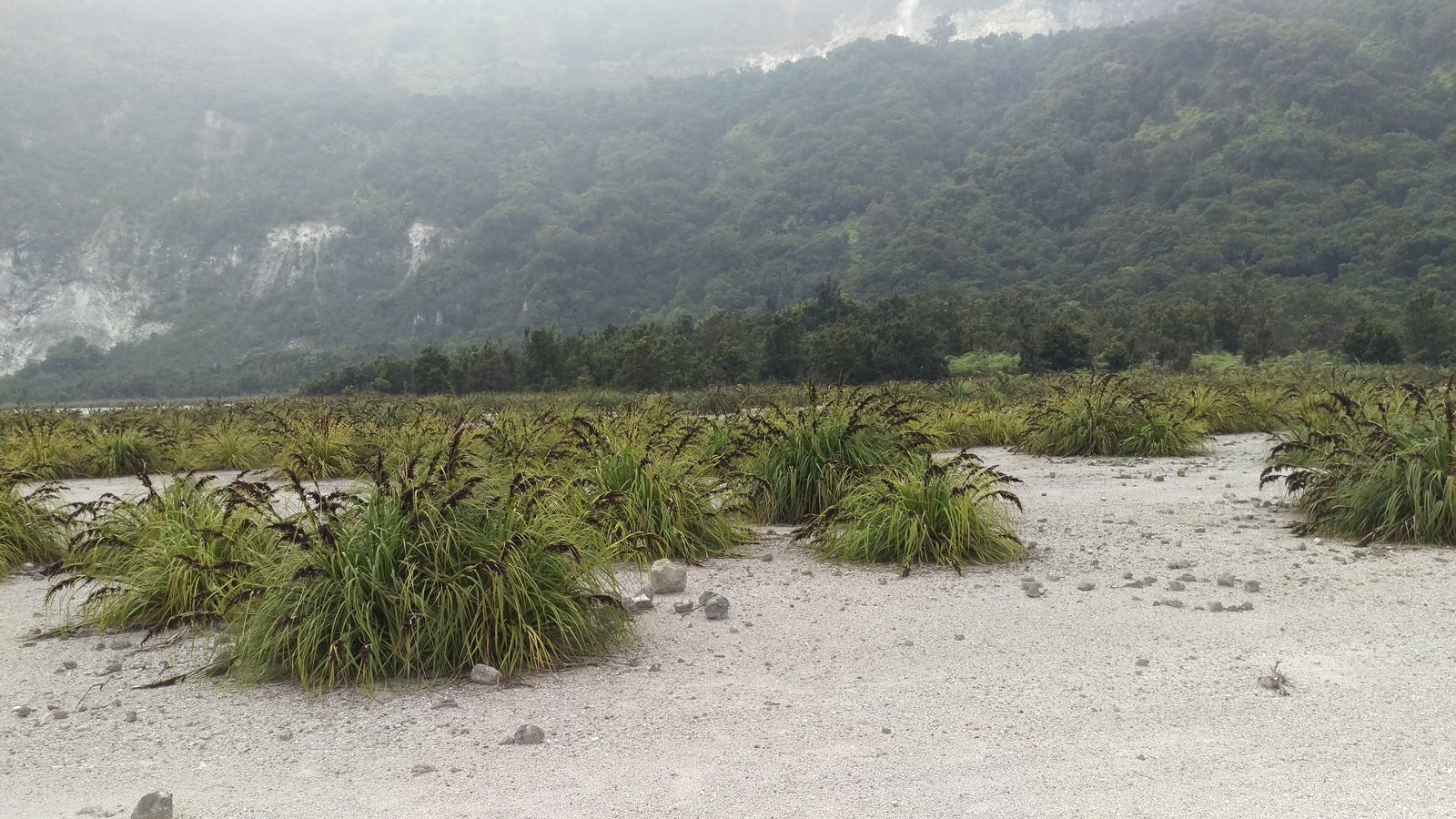 Pre-wedding Photograph 2