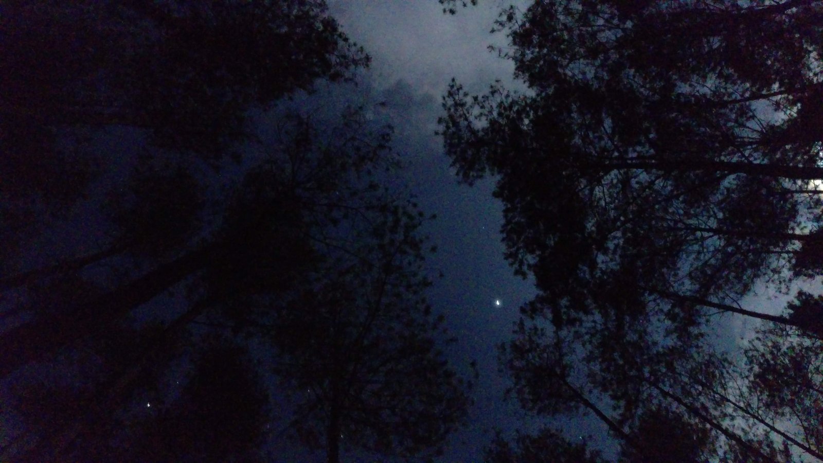 Pre-wedding Photograph 4